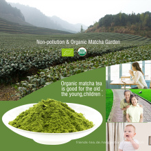 Japanische Zeremonie Grade Matcha Großhandel